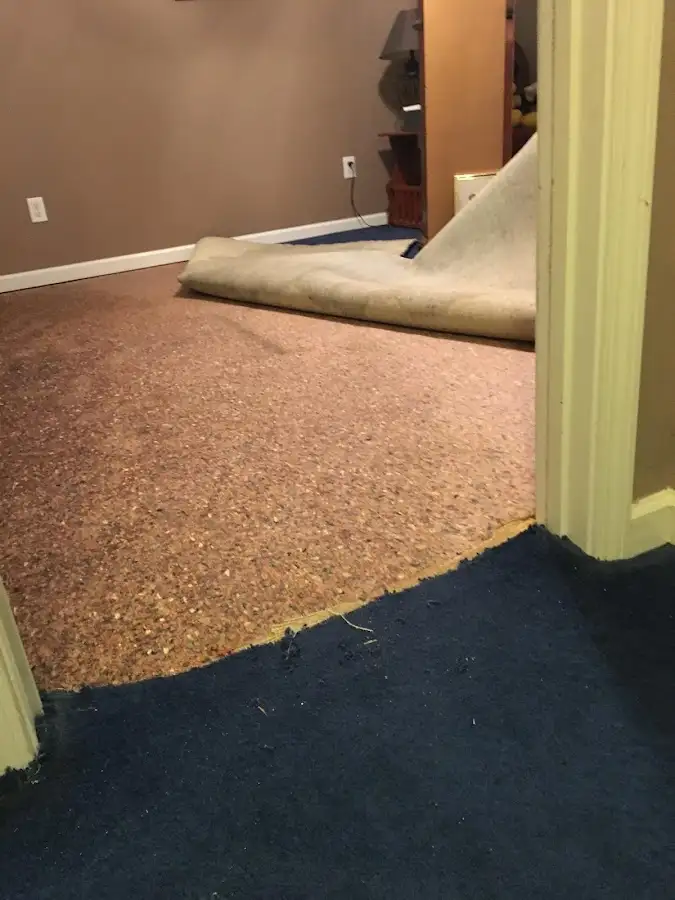 Carpet pad removal revealing water damage during Drying & Dehumidification in Riverdale Park